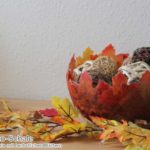 DIY - dekorative Schale aus herbstlichen Blättern